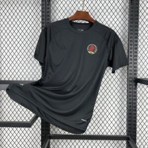 Camiseta Aston Villa 2024-25 150 Años Fan