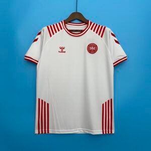 Camiseta Dinamarca 2022 Edicion Especial Retro