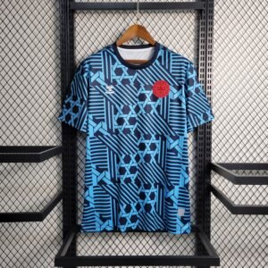 Camiseta Dinamarca 2023-24 Local Fan